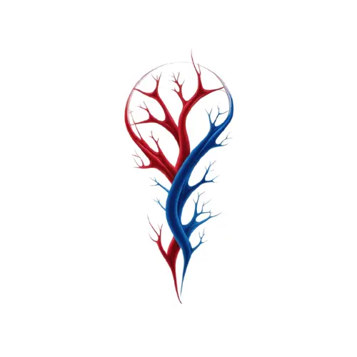 undefined | Αγγειοχειρουργός Θεσσαλονίκη Dr. Παπουτσής Ιωακείμ